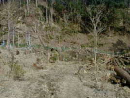 �G�؂��A�����āA��炵���Ȃ��Ă����B