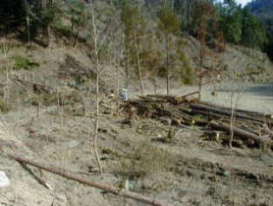 ��Ƃ̐��ʁB�ۑ��ƍ��Ǝ}��Еt�����B