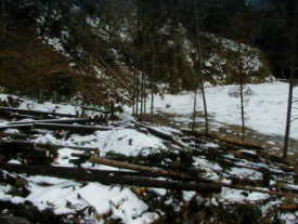 ��ƑO�̊ۑ��ƍ��̎R�B