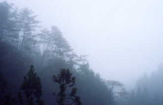 野迫川倶楽部は霧で真っ白