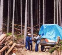 �O�ł̉��B��