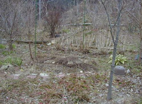 �������O���B���̂��C�ɓ���̃G���A�B