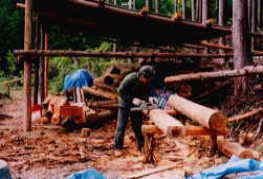 ����������̍�Ə�