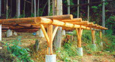 �e���X�����̋r��