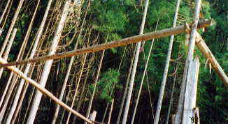 �d�@�̐ߖ�@�i���̂P�j