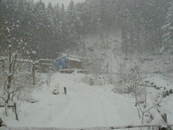 �Q���P�P����̖씗���y��