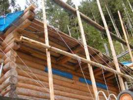 ���ꂪ�g�܂�n�߂܂���