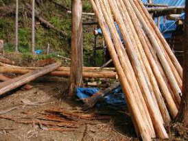 �������ۑ��͂܂�тƂ���̍�i