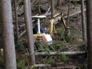 �R�̖؂������o�����߂̓��������邋��������B