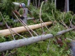 ��Ƃ��邋��������