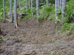 ���n�����B