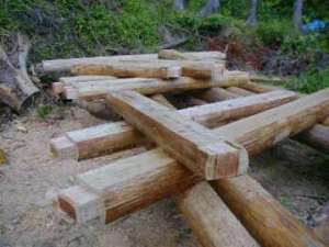 ���t�g�̒��̍���