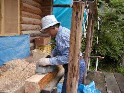 ���a�R�W�����̓d���m�R�M���𐘂��t������Ƒ�œ�ʂ�҂��A�v���[�i�[�ŃT�C�Y�̔������B