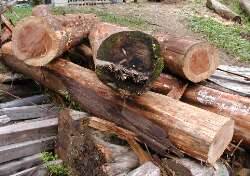 �p�r�ɉ����Đ��@�؂�B�^���̊ۑ��̒��a�͂S�S�����B