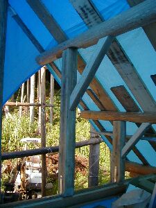 �،������S�����t����ꂽ