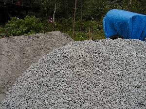 ���ƃo���X�̏��R