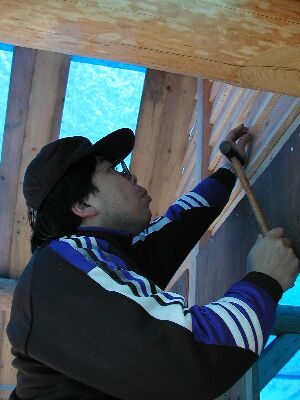 �ȕǂ̔����ϓB�ŗ��߂邨�̂����B