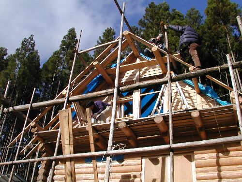 �V��𒣂�n�߂��B