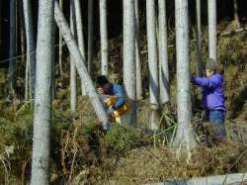 ���̍�Ƃ�����n���ƌ���邋��������B