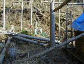 �E�B���`�̉��Ń��C���[�������܂ꂳ��B