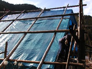 �����̑����⋭���Ă���B