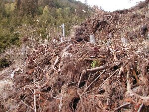 ���}�̎R����������I�I