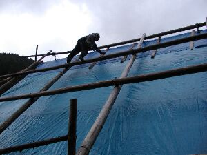 �{����Ƃ�����