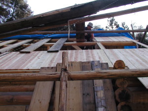 �Q�R���A�{���̍�ƊJ�n�B