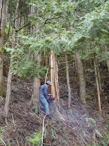 ���̕��i�i�P�j