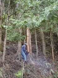 ���̕��i�i�P�j