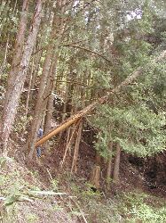 ���̕��i�i�Q�j�O���|��Ă���