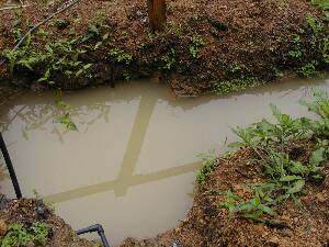 ��b�����̐�����B