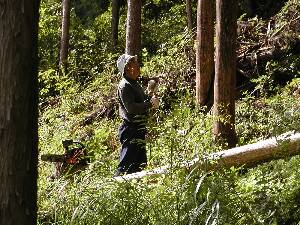 ���̍�ƒ��̂���������B