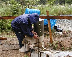 �{�C�h�ǂ��߂���B