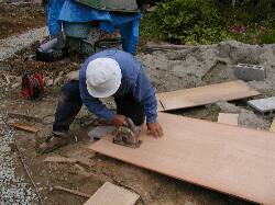 �������悩��D�D�D�B