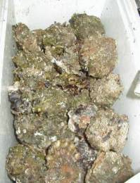 ���y�̓N�[���[�{�b�N�X�ɂ����ς�����܂����B