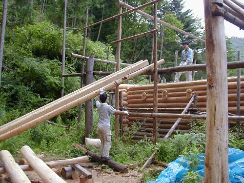 ���؂�ꉮ�����t�g�ɏグ��