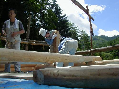 ��{�ڂ̕ꉮ���グ��