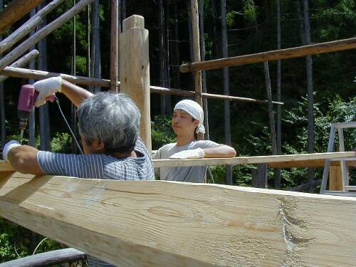 ��i�ڂ̕ꉮ���グ�邽�߂̑�������