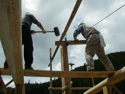 �Ō�̒���ł�����