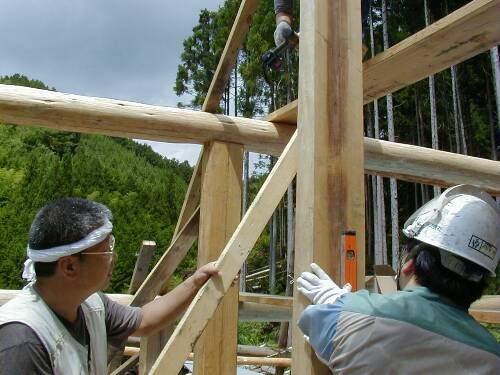 ���������āA�T�������