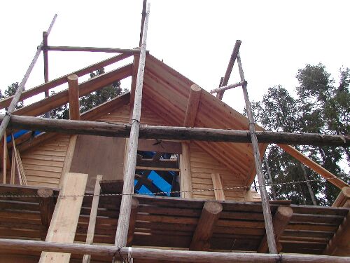 �V��������Ă���