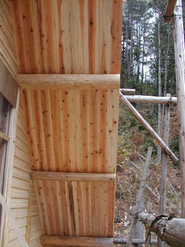 ���t�g�̃x�����_�����E�Жʂ����肠������