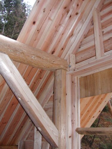 ���t�g�̓�������V��������Ƃ���