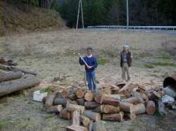 �d����������E�E�E�B