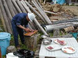 ���R���ƃJ���p�`���h�g�ɂ��邋��������