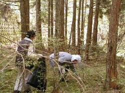 �u��N���[�����