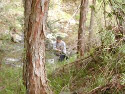 �u��N���[�������s�ψ���