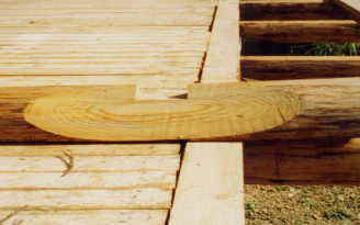 ���߂č��񂾃n�[�t���O�ƃV�����O�i���̂P�j