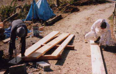 ��t���ꂽ�R���e�i�̓B�𔲂�